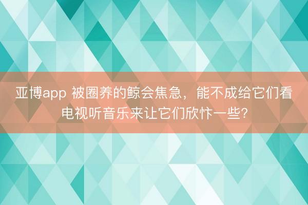 亚博app 被圈养的鲸会焦急，能不成给它们看电视听音乐来让它们欣忭一些?