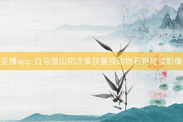 亚博app 白马雪山初次拿获重视动物石狗尾续影像