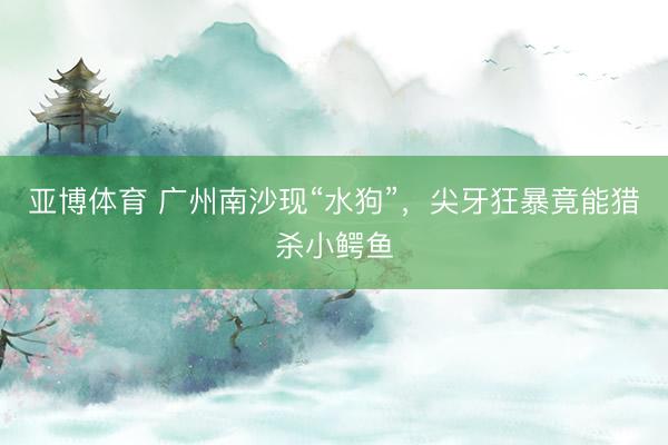 亚博体育 广州南沙现“水狗”,尖牙狂暴竟能猎杀小鳄鱼