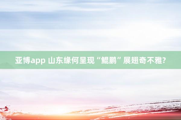 亚博app 山东缘何呈现“鲲鹏”展翅奇不雅?