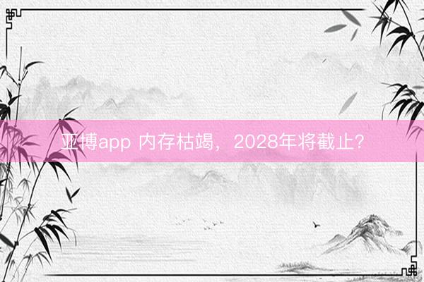 亚博app 内存枯竭，2028年将截止？