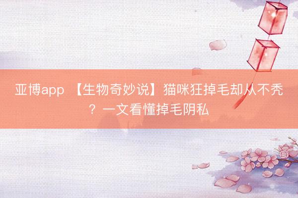 亚博app 【生物奇妙说】猫咪狂掉毛却从不秃？一文看懂掉毛阴私