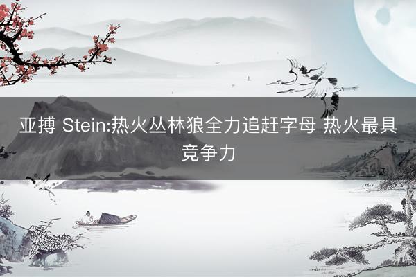 亚搏 Stein:热火丛林狼全力追赶字母 热火最具竞争力