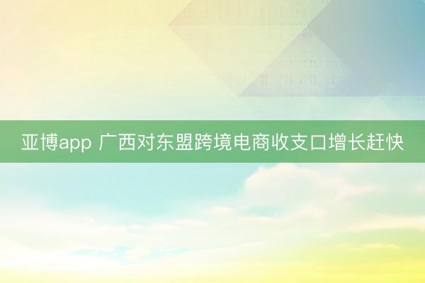 亚博app 广西对东盟跨境电商收支口增长赶快