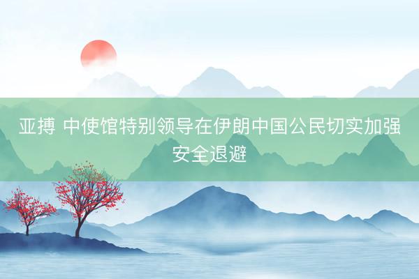 亚搏 中使馆特别领导在伊朗中国公民切实加强安全退避