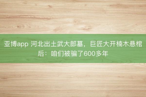 亚博app 河北出土武大郎墓，巨匠大开楠木悬棺后：咱们被骗了600多年