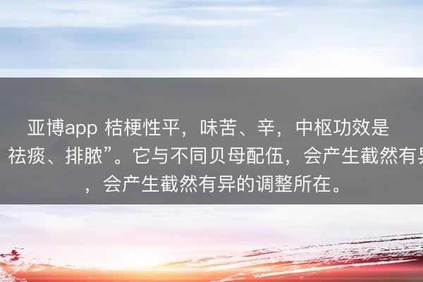 亚博app 桔梗性平，味苦、辛，中枢功效是 “宣肺、利咽、祛痰、排脓”。它与不同贝母配伍，会产生截然有异的调整所在。