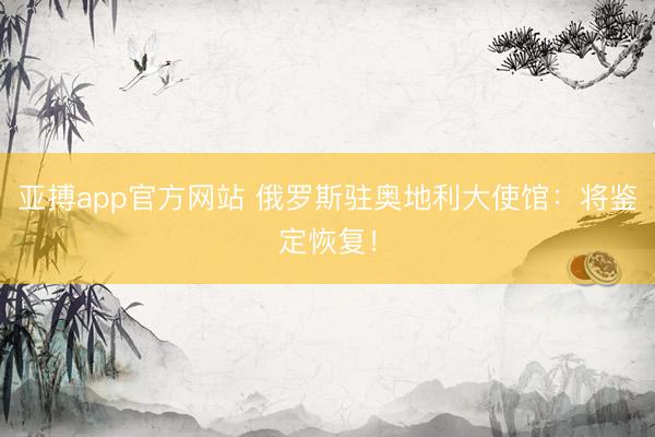 亚搏app官方网站 俄罗斯驻奥地利大使馆：将鉴定恢复！
